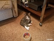 IMG_20260629_143535