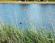 IMG_20260629_200546