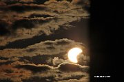 IMG_0953