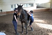 IMG_0789
