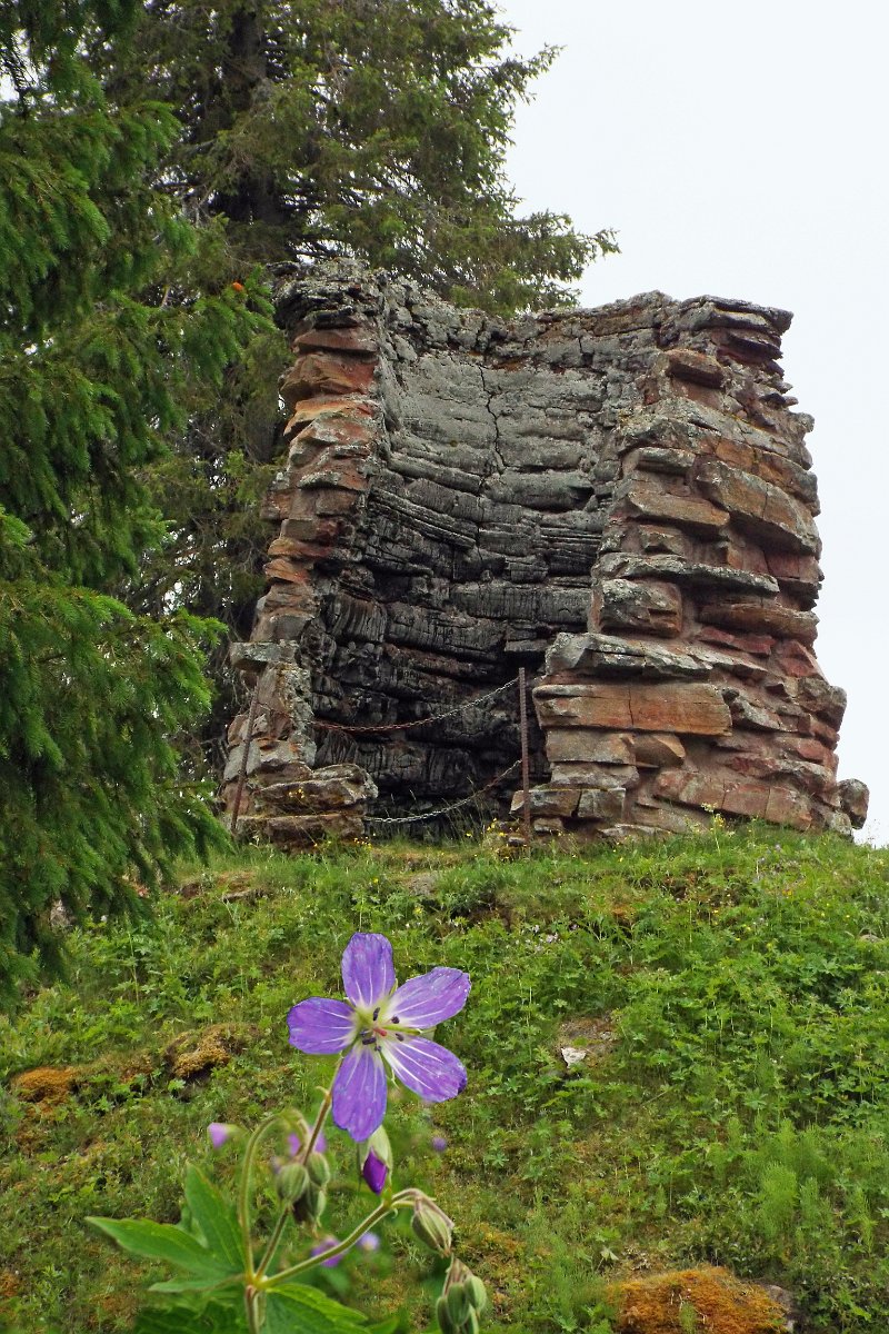 DSCF4412.jpg - Muistne rauasulatusahi Palukorvas, Rootsi.