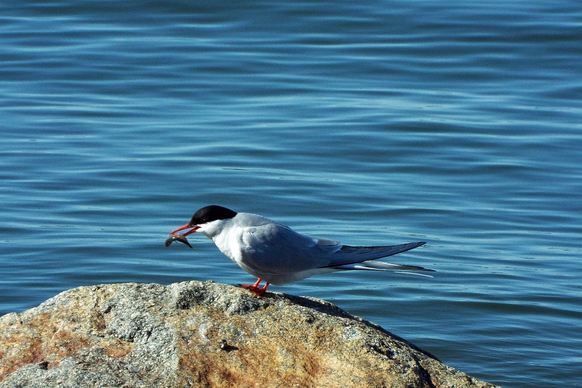 DSCF4660.jpg - No comments.