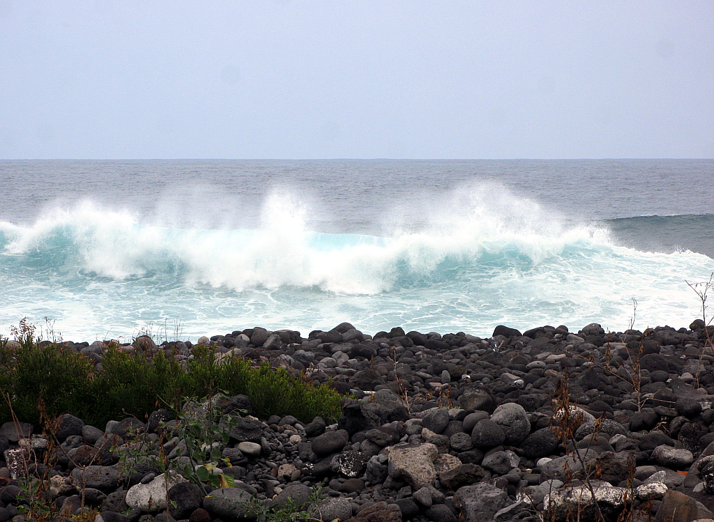 IMG_0160.JPG - Puerto de la Cruzi rand