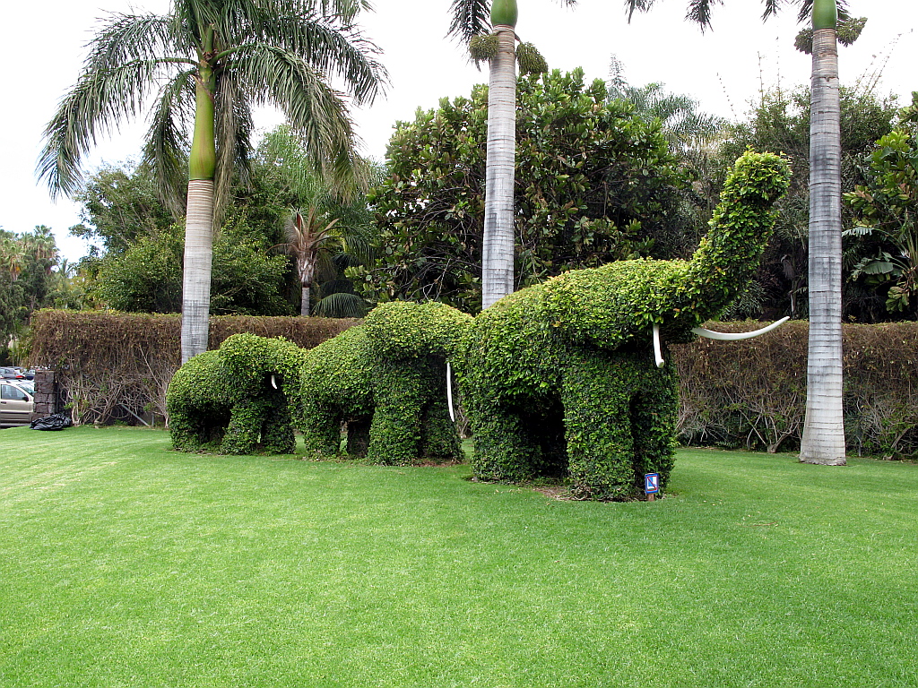 IMG_0437.JPG - Loro Parque